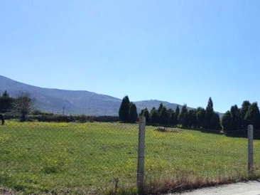 terrenos